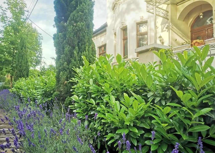 Kuria Extra Apartment *