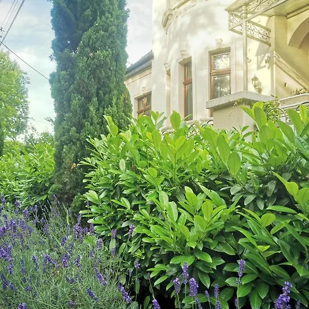 Kuria Extra Apartman *