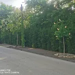 Kuria Extra Apartman